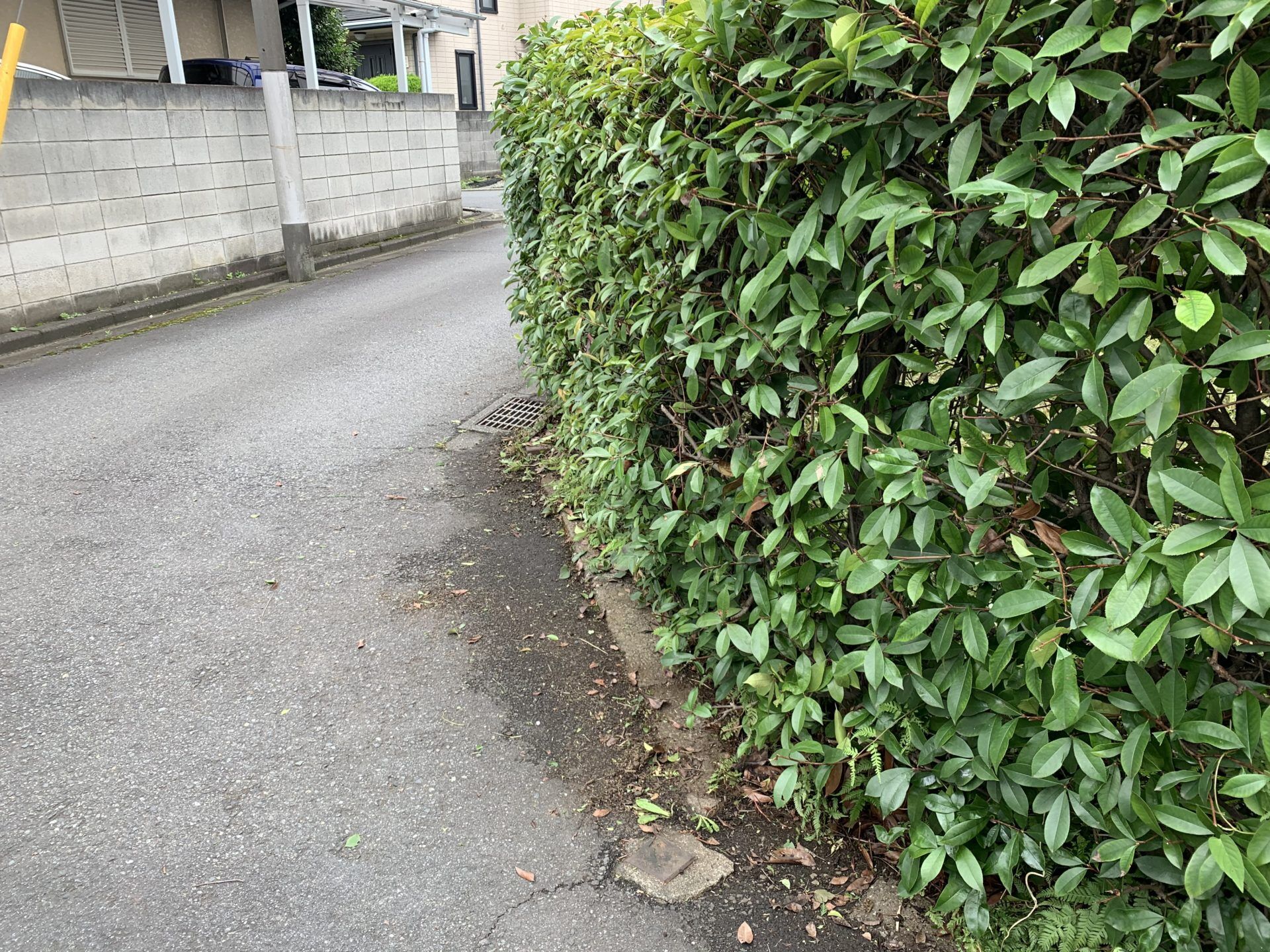 見通しが良くなったコーナー