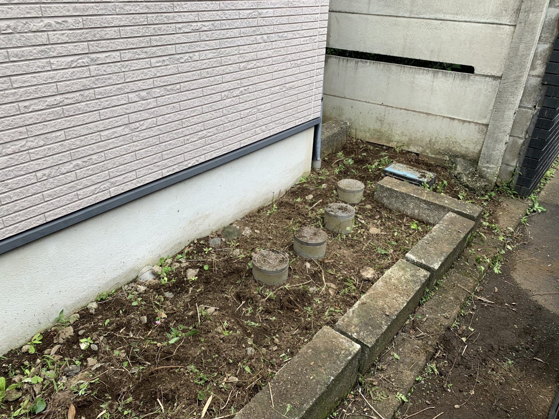 玄関脇もサッパリ