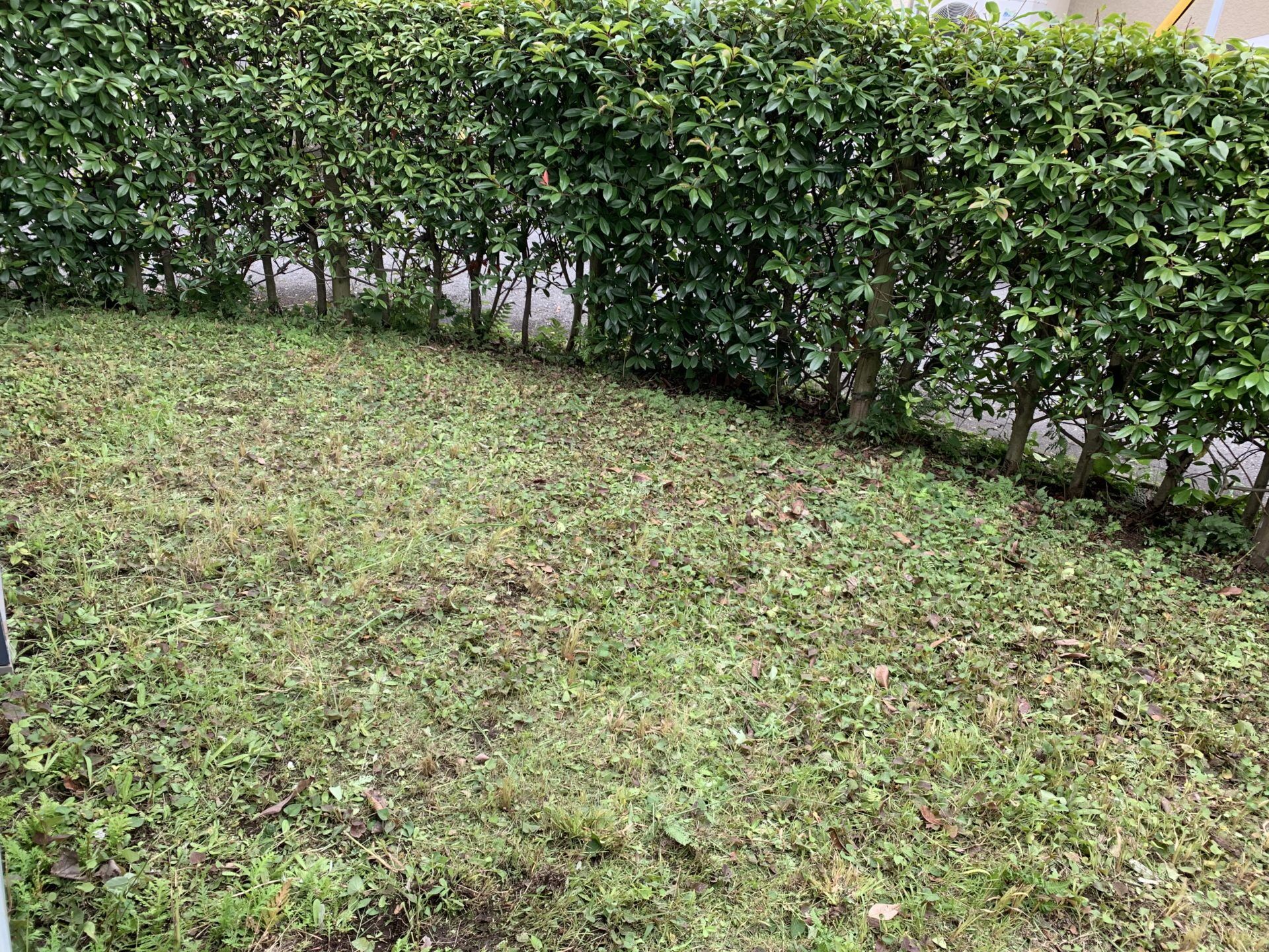 庭部分